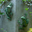 Melrose Stone Garden Frog Wall Accent (Set of 2), Green