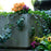 Melrose Stone Garden Frog Wall Accent (Set of 2), Green