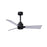 Matthews Fan Alessandra 3 Blade 42" Ceiling Fan