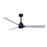 Matthews Fan Alessandra 3 Blade 56" Ceiling Fan
