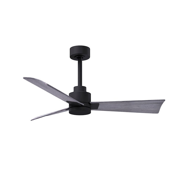 Matthews Fan Alessandra 3 Blade 42" Ceiling Fan