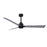 Matthews Fan Alessandra 3 Blade 56" Ceiling Fan