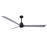 Matthews Fan Alessandra 3 Blade 72" Ceiling Fan