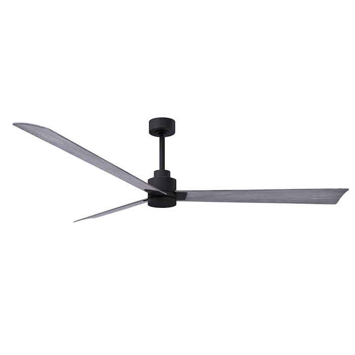 Matthews Fan Alessandra 3 Blade 72" Ceiling Fan