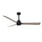 Matthews Fan Alessandra 3 Blade 56" Ceiling Fan
