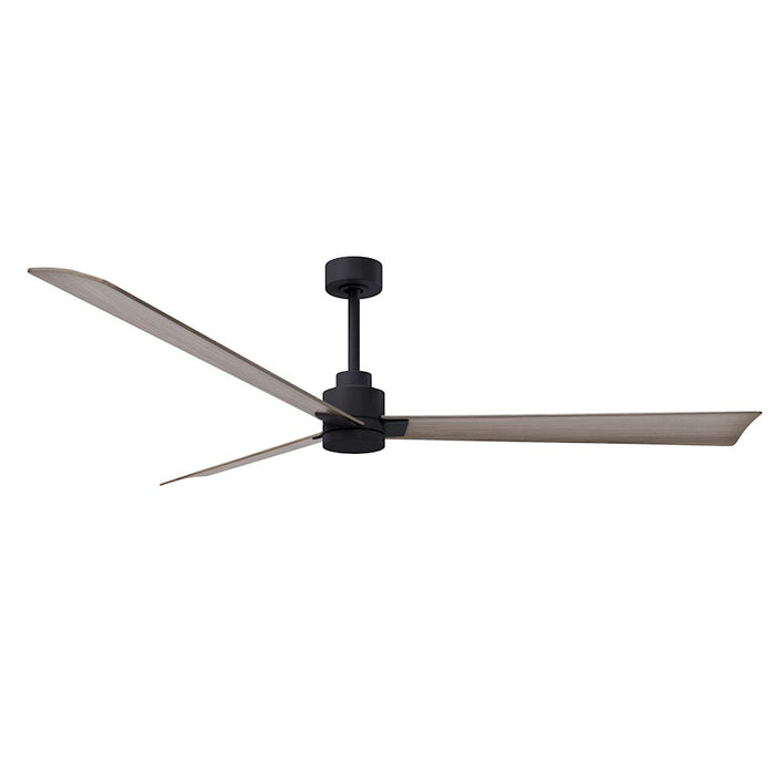 Matthews Fan Alessandra 3 Blade 72" Ceiling Fan