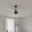 Matthews Fan Alessandra 56" 3 Blade Ceiling Fan, Matte Black