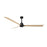 Matthews Fan Alessandra 72" 3 Blade Ceiling Fan, Matte Black - AK-BK-LM-72