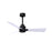 Matthews Fan Alessandra 3 Blade 42" Ceiling Fan