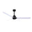 Matthews Fan Alessandra 3 Blade 56" Ceiling Fan