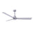 Matthews Fan Alessandra 3 Blade 56" Ceiling Fan