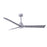 Matthews Fan Alessandra 3 Blade 56" Ceiling Fan
