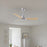 Matthews Fan Alessandra 42" 3 Blade Ceiling Fan, Brushed Nickel