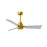 Matthews Fan Alessandra 3 Blade 42" Ceiling Fan