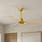 Matthews Fan Alessandra 42" 3 Blade Ceiling Fan, Brushed Brass