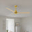 Matthews Fan Alessandra 56" 3 Blade Ceiling Fan, Brushed Brass