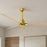 Matthews Fan Alessandra 56" 3 Blade Ceiling Fan, Brushed Brass