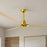 Matthews Fan Alessandra 72" 3 Blade Ceiling Fan, Brushed Brass