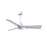Matthews Fan Alessandra 3 Blade 42" Ceiling Fan