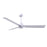 Matthews Fan Alessandra 3 Blade 56" Ceiling Fan