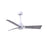 Matthews Fan Alessandra 3 Blade 42" Ceiling Fan
