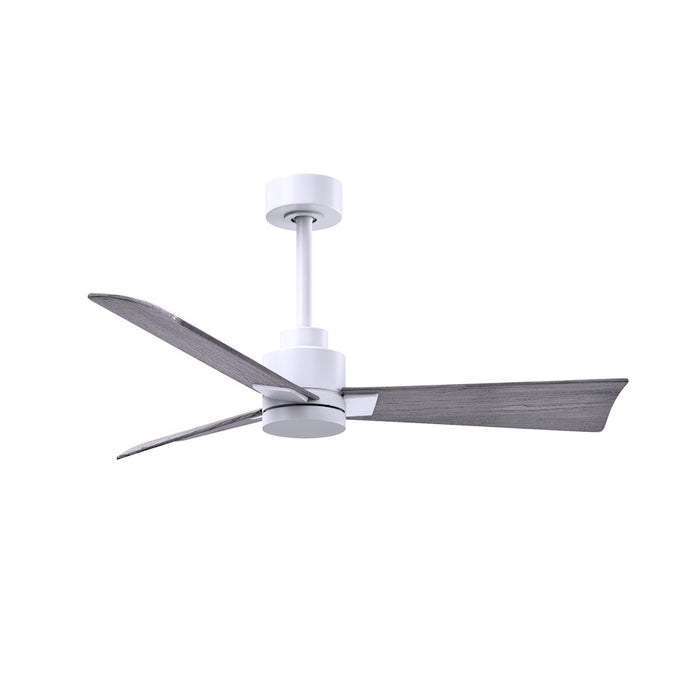 Matthews Fan Alessandra 3 Blade 42" Ceiling Fan