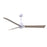 Matthews Fan Alessandra 3 Blade 56" Ceiling Fan