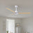 Matthews Fan Alessandra 56" 3 Blade Ceiling Fan, Matte White