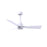Matthews Fan Alessandra 3 Blade 42" Ceiling Fan