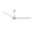 Matthews Fan Alessandra 3 Blade 56" Ceiling Fan