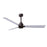 Matthews Fan Alessandra 3 Blade 56" Ceiling Fan