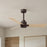 Matthews Fan Alessandra 42" 3 Blade Ceiling Fan, Textured Bronze