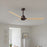 Matthews Fan Alessandra 56" 3 Blade Ceiling Fan, Textured Bronze