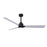 Matthews Fan Alessandra 1 3 Blade 56" Ceiling Fan