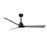Matthews Fan Alessandra 1 3 Blade 56" Ceiling Fan