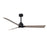 Matthews Fan Alessandra 1 3 Blade 56" Ceiling Fan