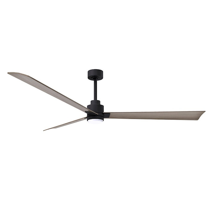 Matthews Fan Alessandra 1 3 Blade 72" Ceiling Fan