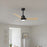 Matthews Fan Alessandra 1 Light 42" 3 Blade Ceiling Fan, Black