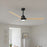Matthews Fan Alessandra 1 Light 56" 3 Blade Ceiling Fan, Black