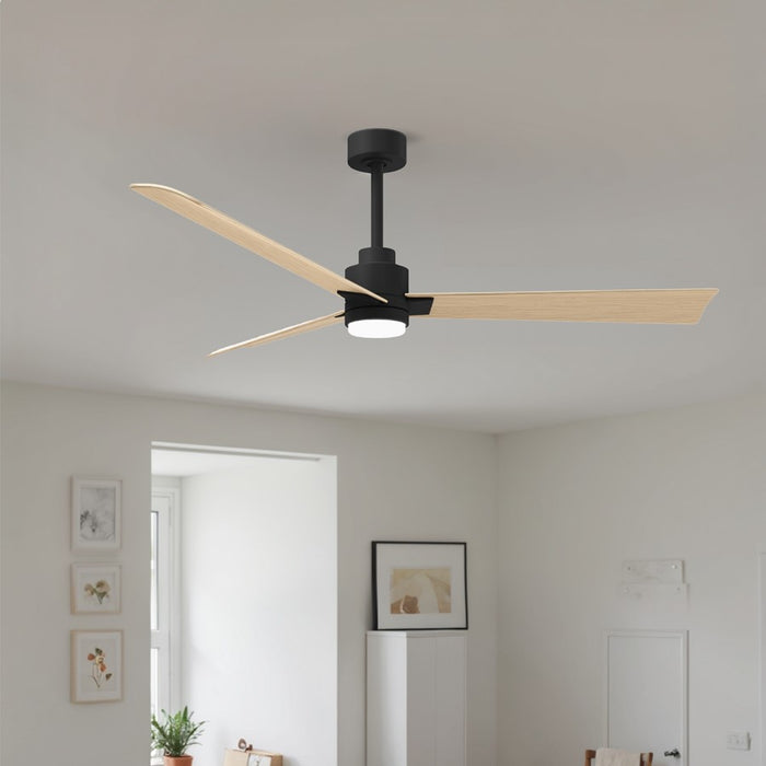 Matthews Fan Alessandra 1 Light 56" 3 Blade Ceiling Fan, Black