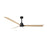 Matthews Fan Alessandra 1 Light 72" 3 Blade Ceiling Fan, Black