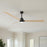 Matthews Fan Alessandra 1 Light 72" 3 Blade Ceiling Fan, Black