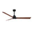 Matthews Fan Alessandra 1 3 Blade 56" Ceiling Fan