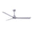 Matthews Fan Alessandra 1 3 Blade 56" Ceiling Fan