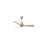 Matthews Fan Alessandra 1 Light 42" 3 Blade Ceiling Fan, BN