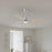 Matthews Fan Alessandra 1 Light 42" 3 Blade Ceiling Fan, BN