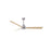Matthews Fan Alessandra 1 Light 56" 3 Blade Ceiling Fan, BN