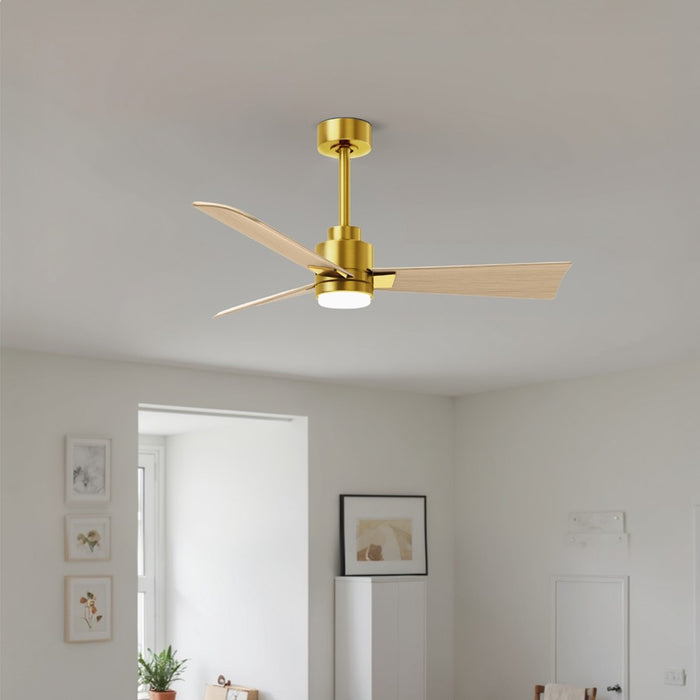 Matthews Fan Alessandra 42" 3 Blade Ceiling Fan, BRBR