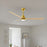 Matthews Fan Alessandra 1 Light 56" 3 Blade Ceiling Fan, BB