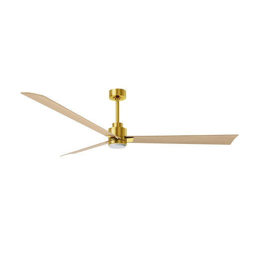 Matthews Fan Alessandra 1 Light 72" 3 Blade Ceiling Fan, BB